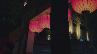 中秋免费下载视频素材