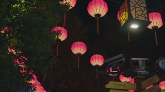 中秋高清视频视频素材