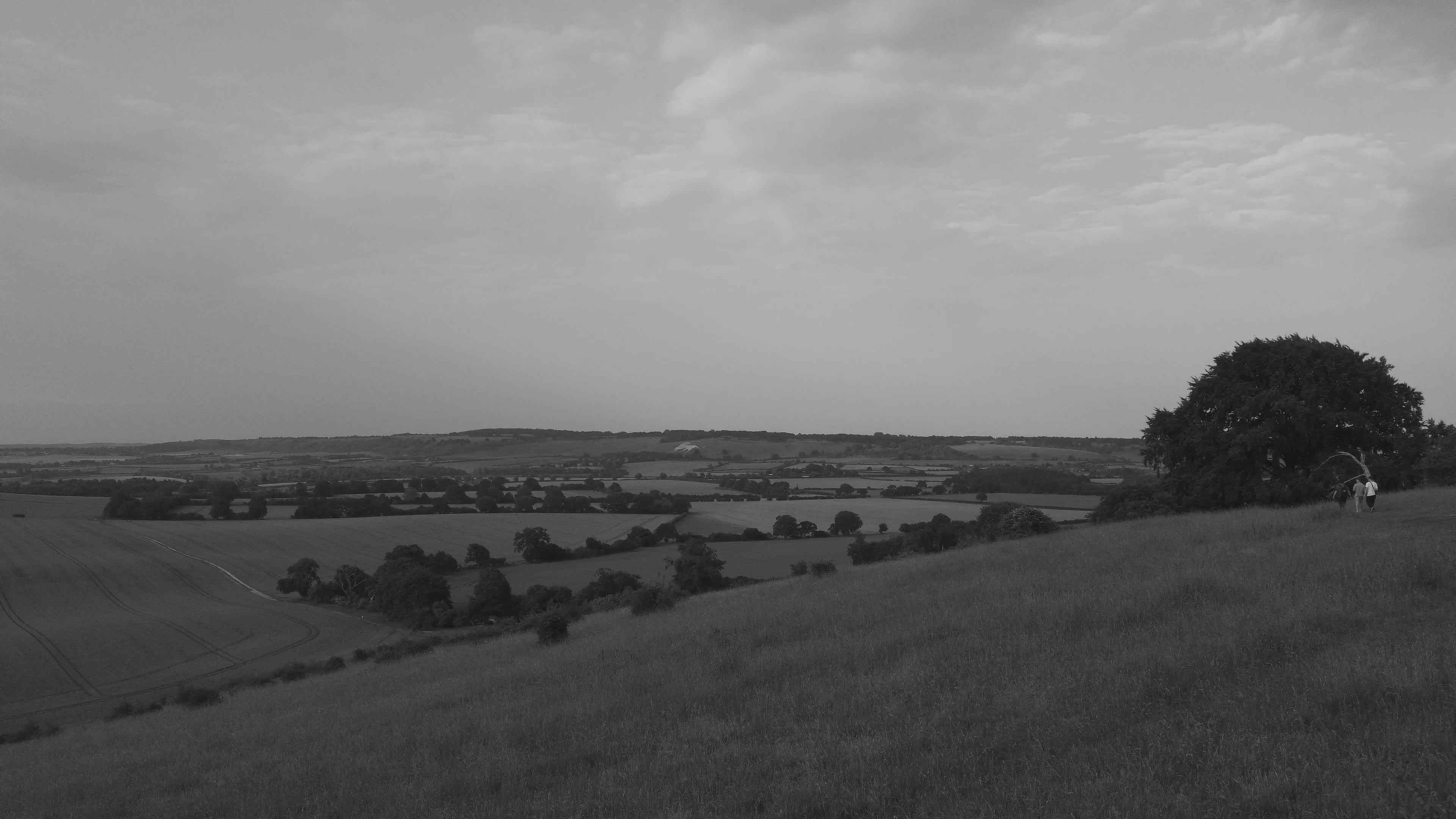 Scenic Black and White Countryside Landscape Free Stock Video Footage ...