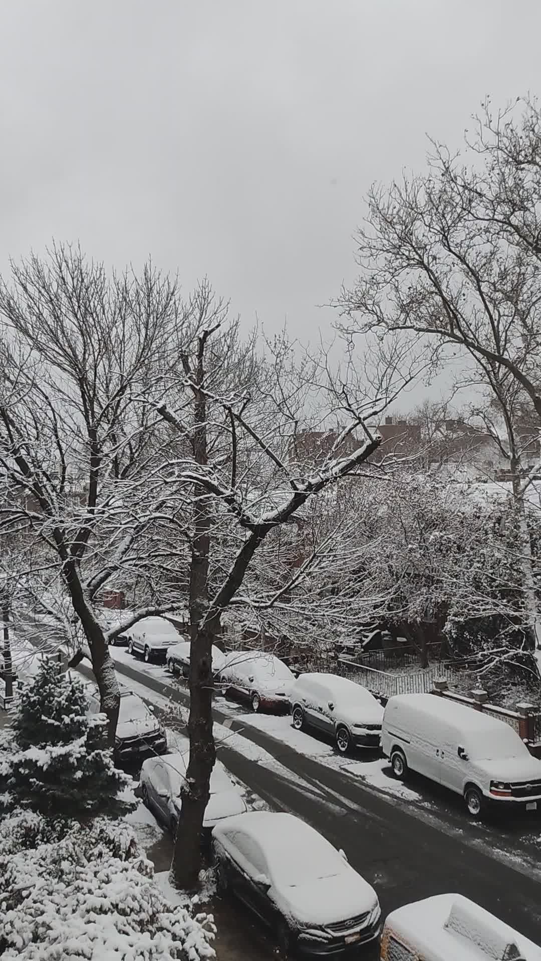 Snow Covered City Street in Winter Free Stock Video Footage, Royalty ...