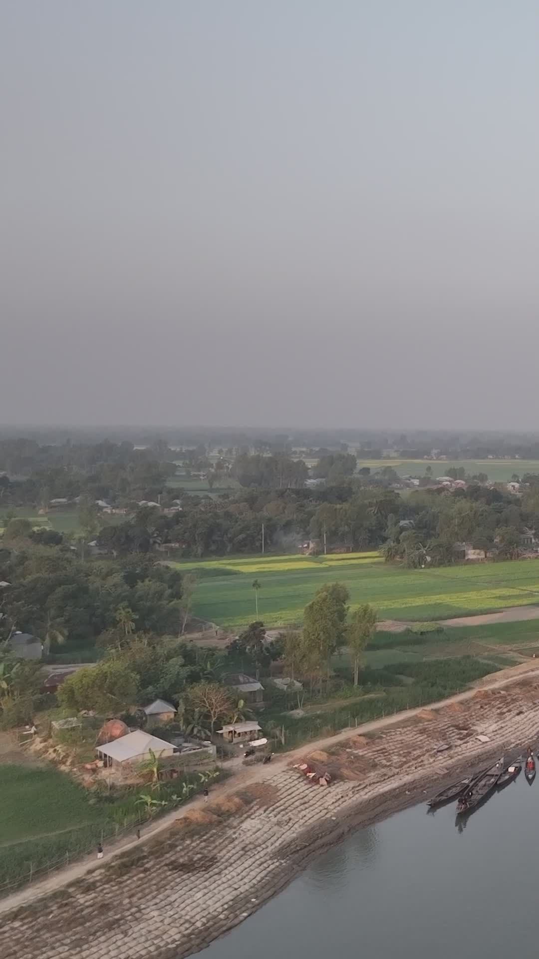 Aerial View of Lush Green Fields in Bangladesh Free Stock Video Footage ...