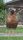 hen