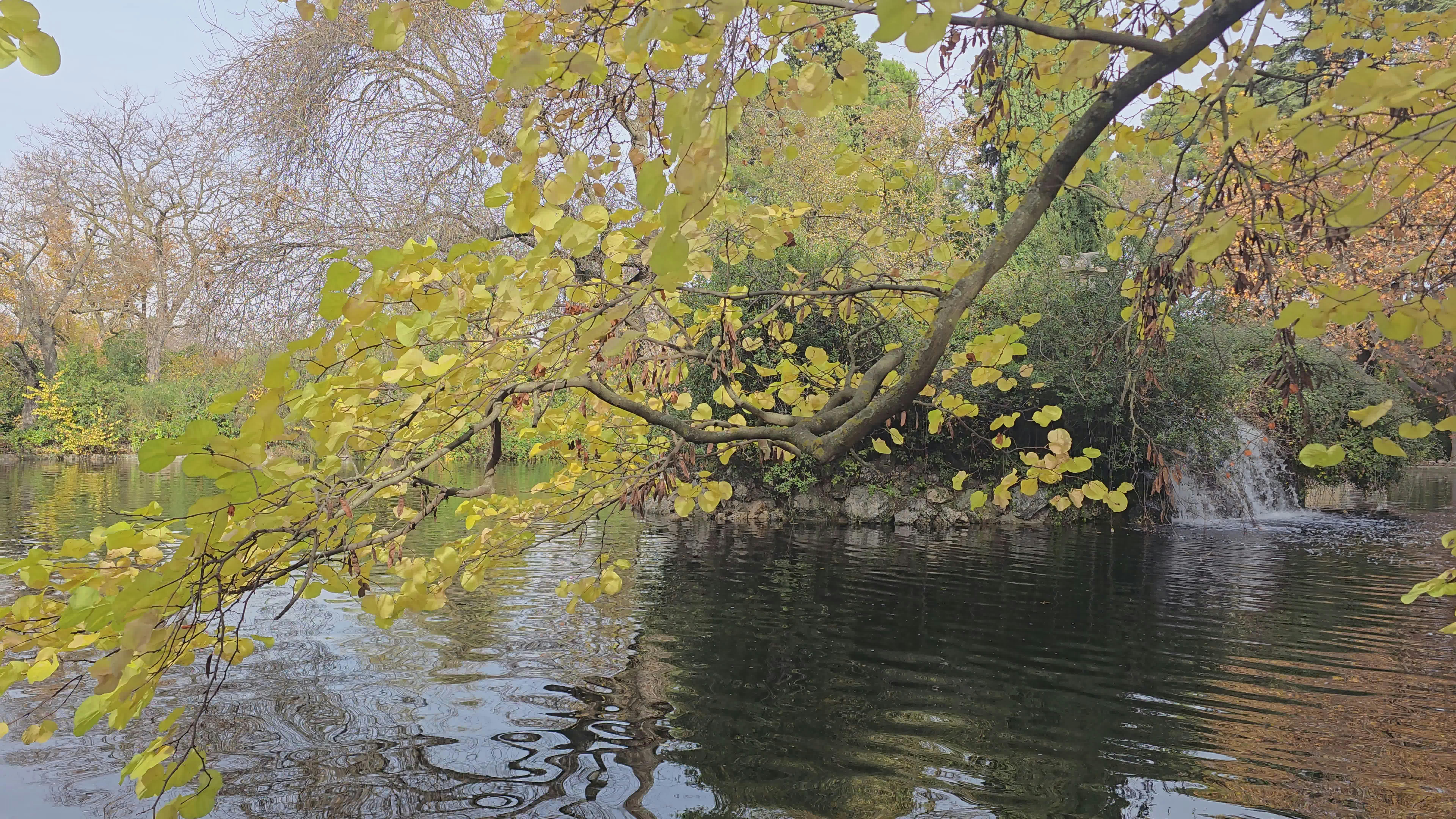 Video by KastorVia InstanteZen