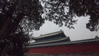 甲午战争视频素材视频素材