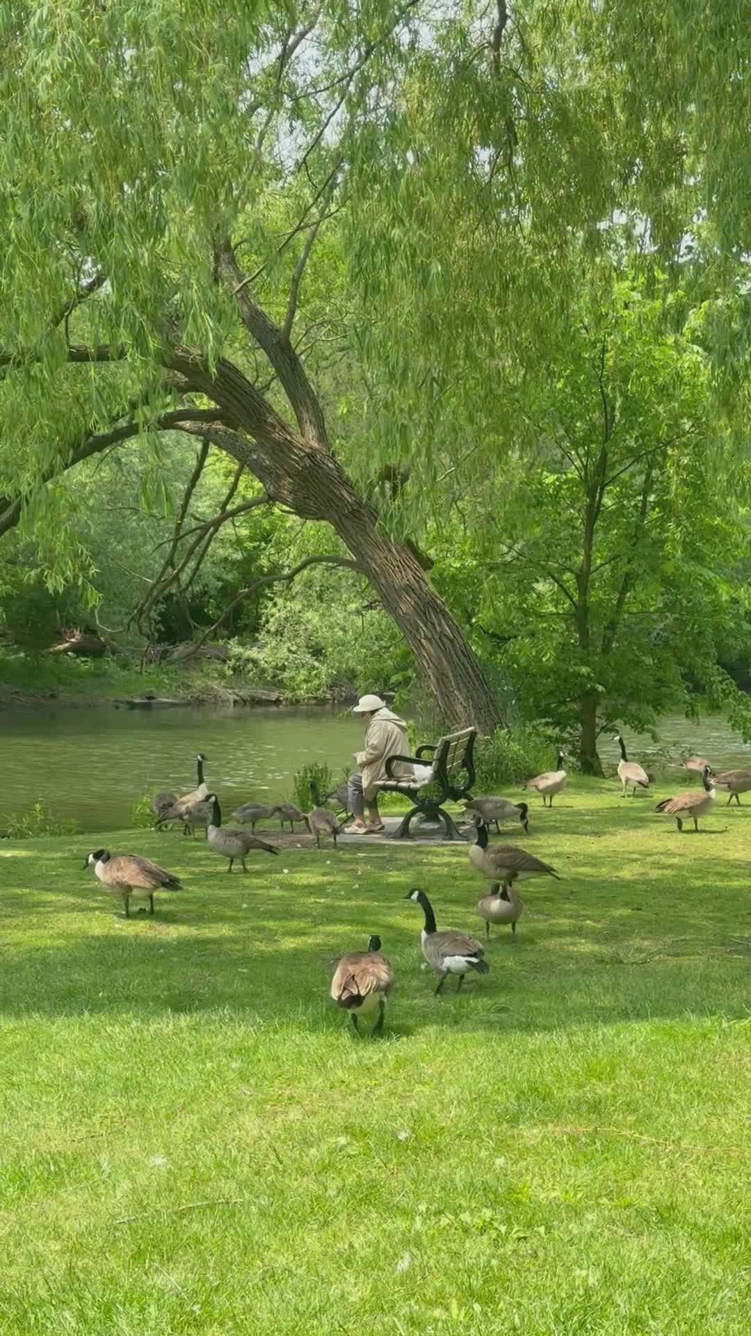 Video by Buket Ülkü