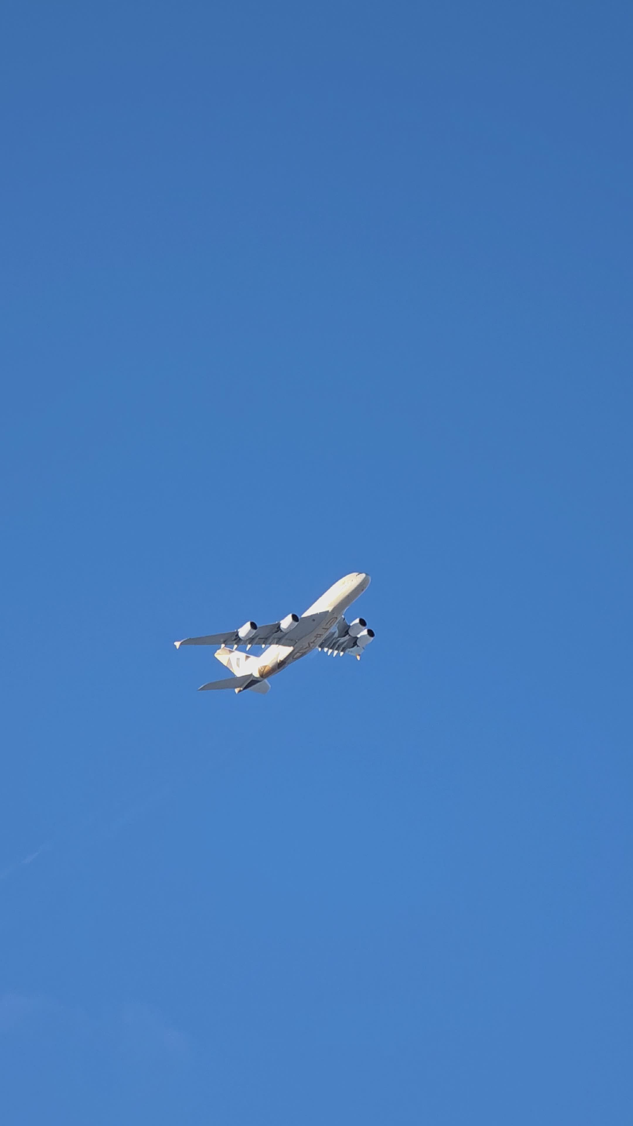 Plane Flying Videos, Download The BEST Free 4k Stock Video Footage ...