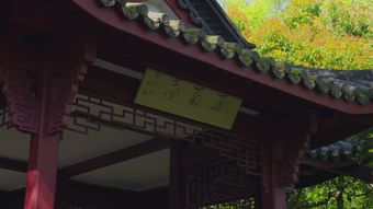中国文化视频素材视频素材