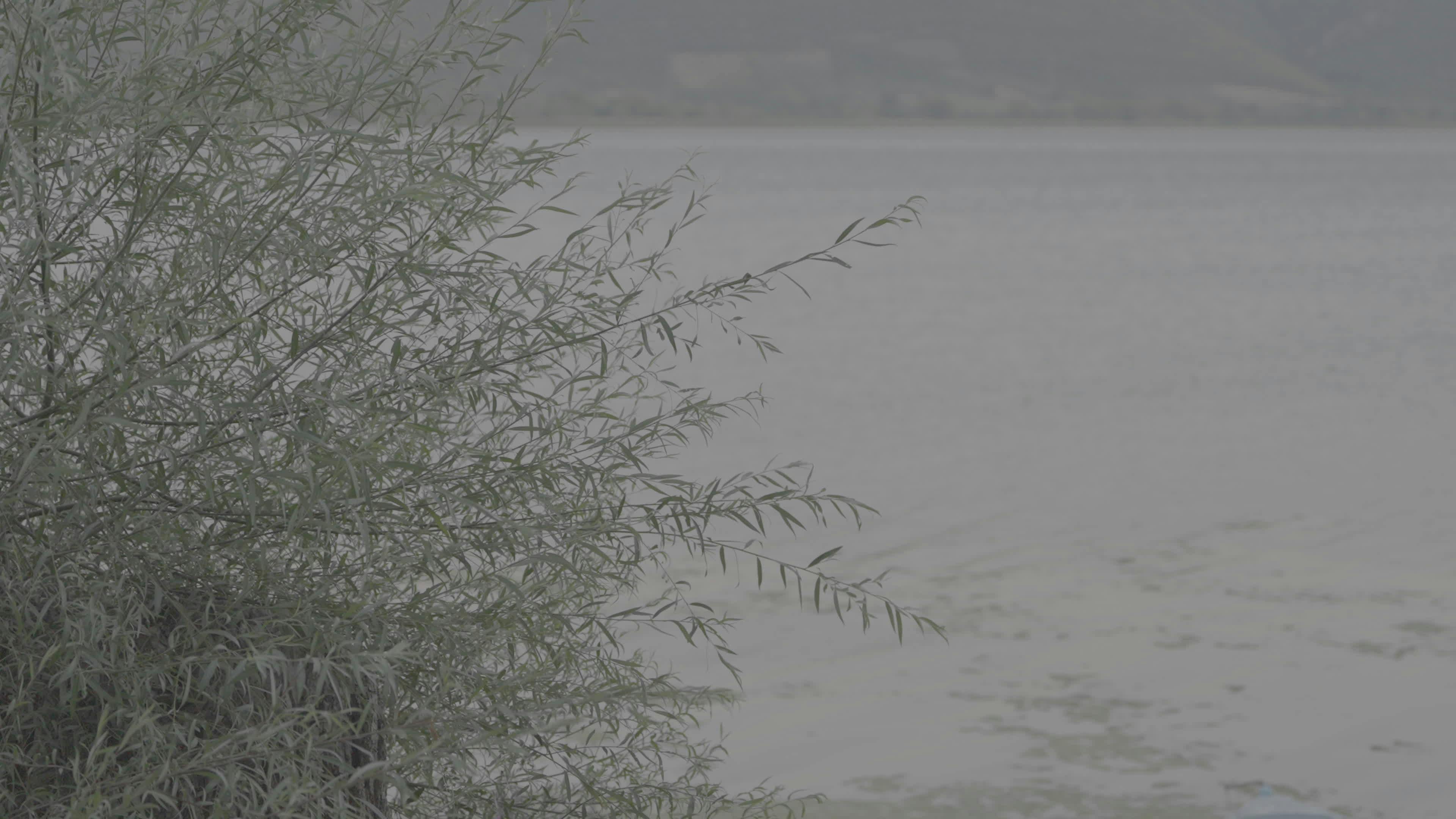 Video by Özgür Sürmeli