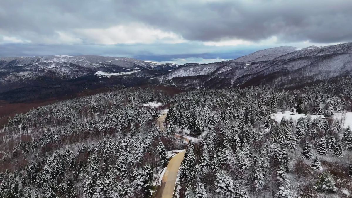 Dirt Road Crossing Through Forest in Winter Free Stock Video Footage ...