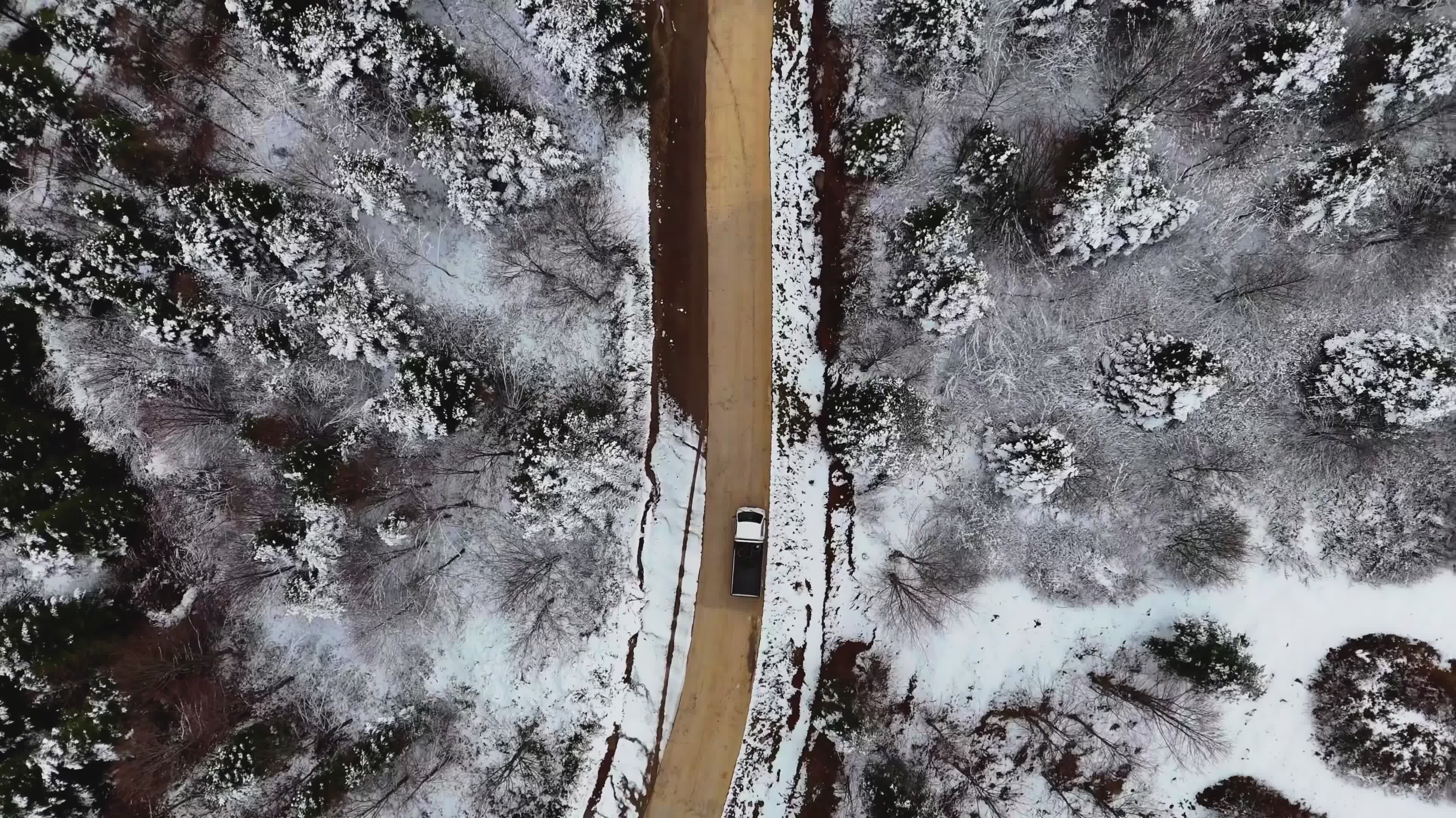 Aerial Winter Drive Through Snowy Forest Free Stock Video Footage ...