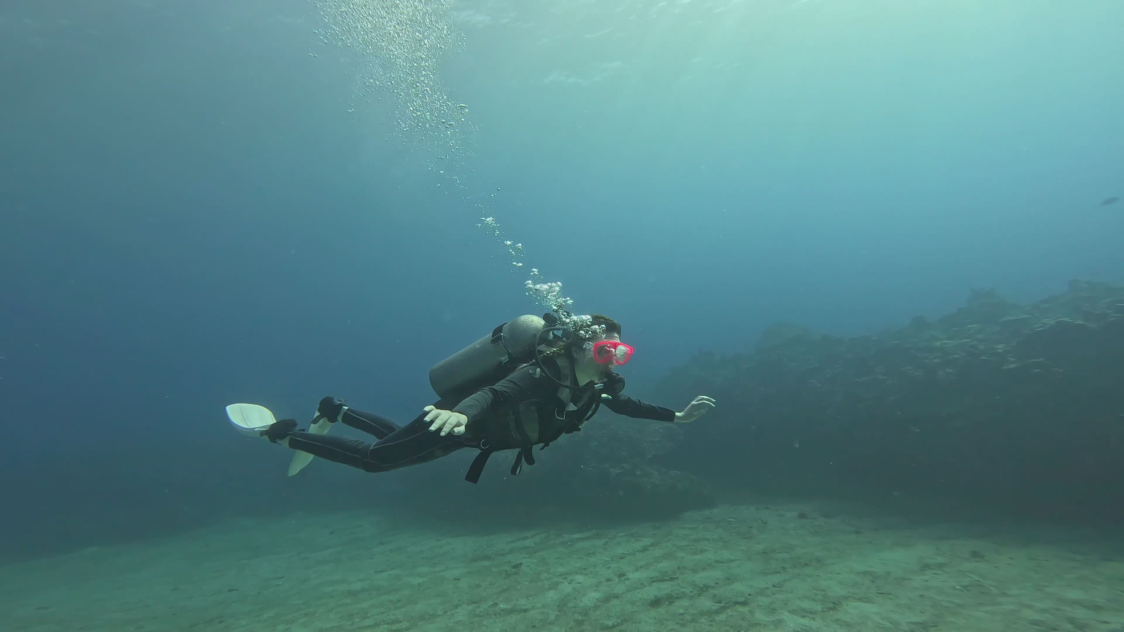 Scuba Diver Exploring Vibrant Underwater World Free Stock Video Footage ...