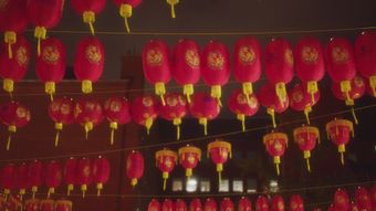 春节免费下载视频素材