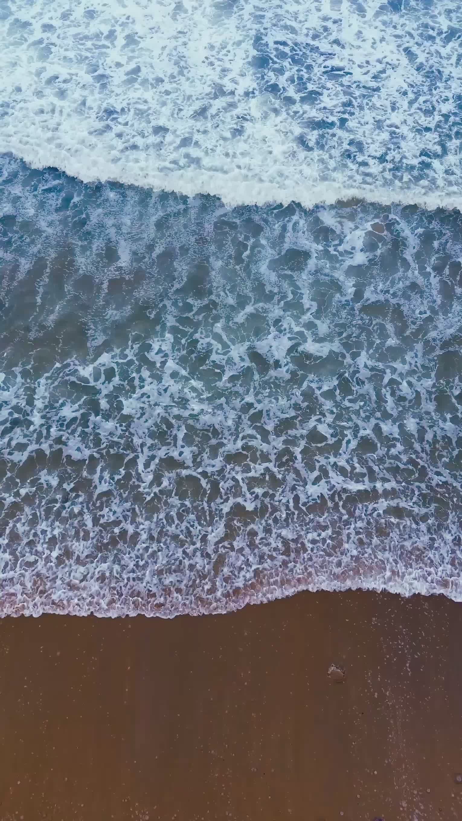 Video by Ali Akdemir