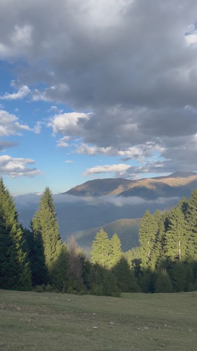 llimosaa's nature timelapse video
