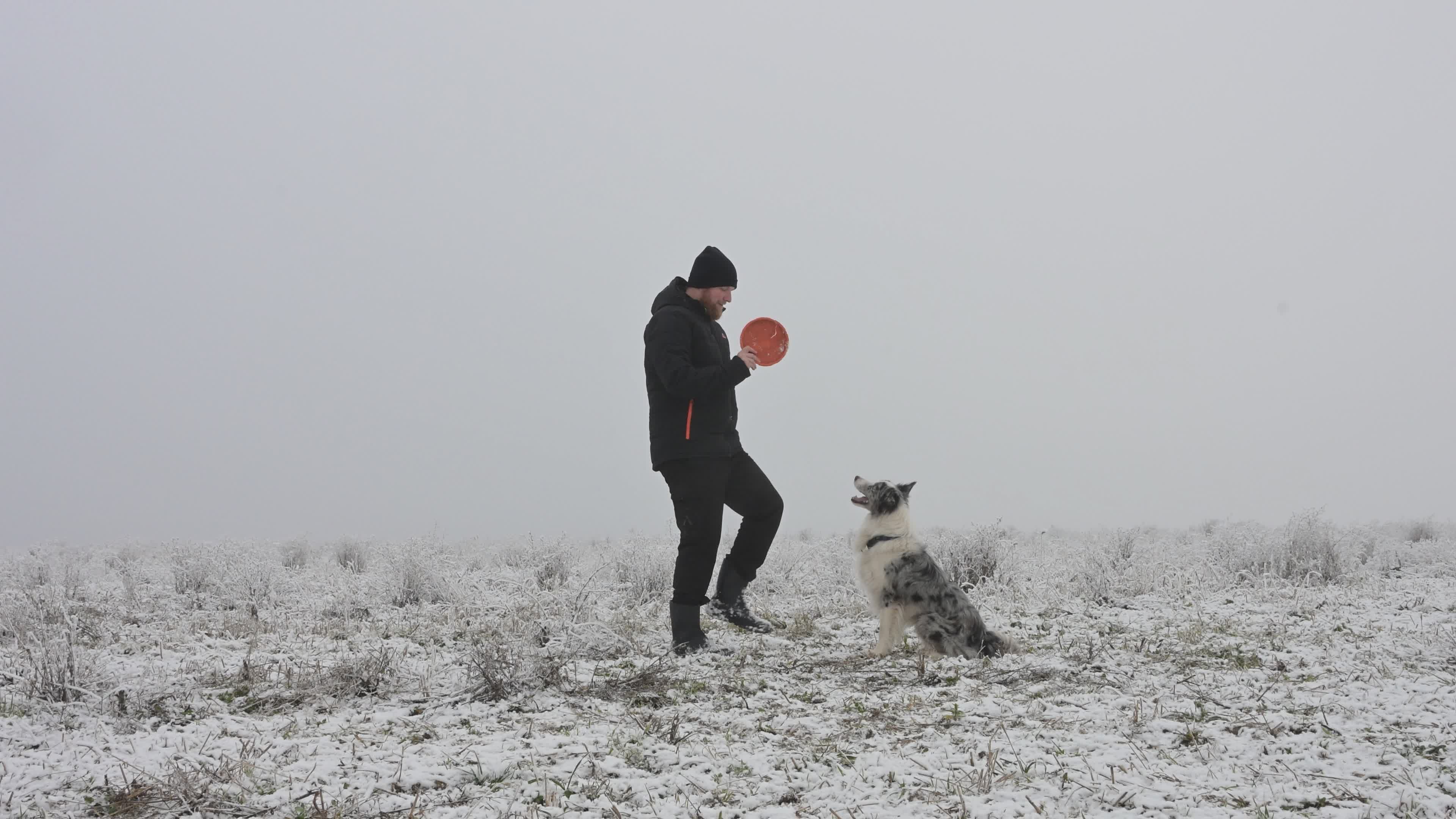Dog Trainer video