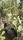 plant nursery