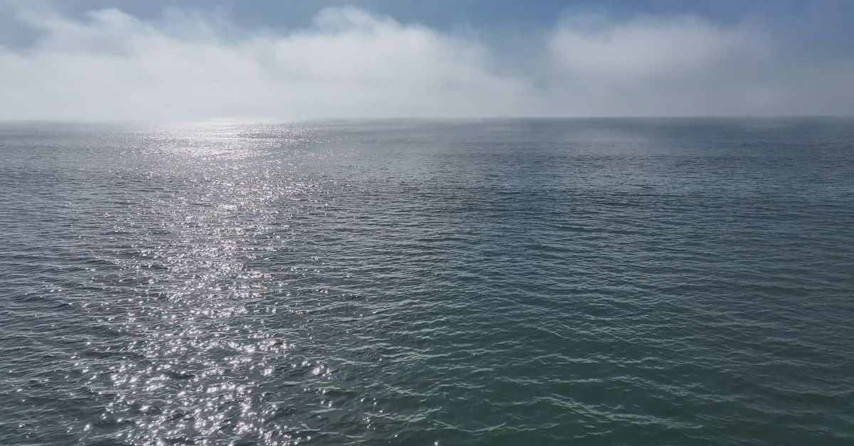 Ocean Line View Serene Aerial View of Ocean and Coastline Free Stock Video Footage ...