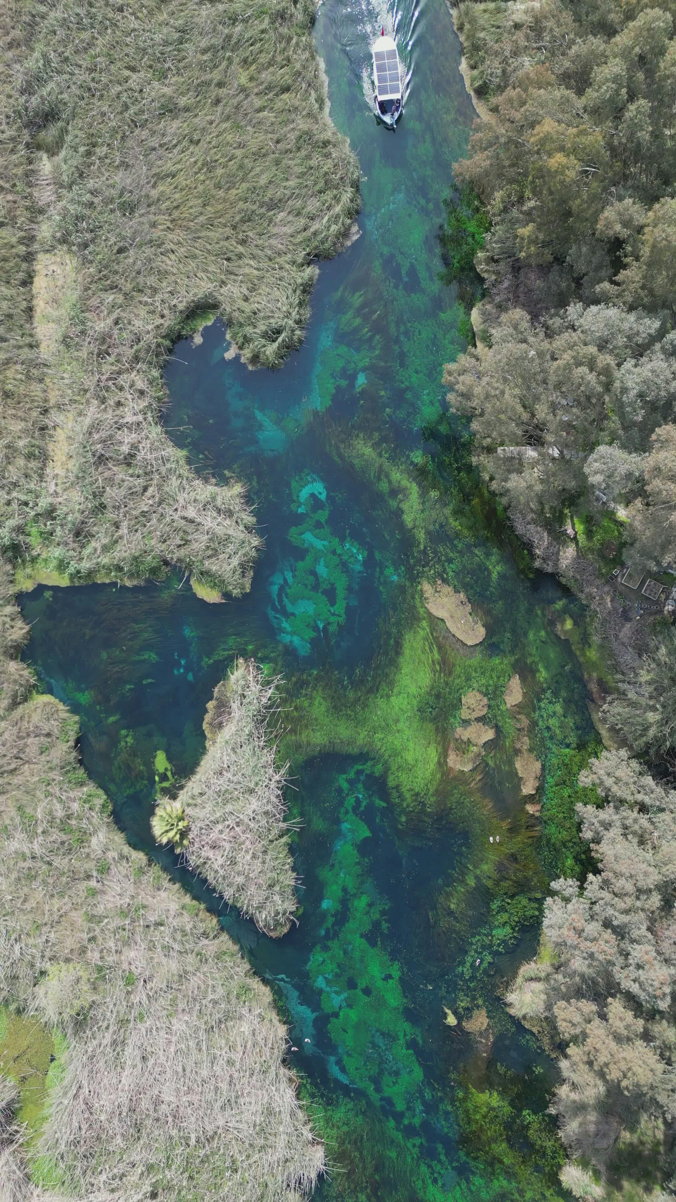 Video by Mahmut Yılmaz