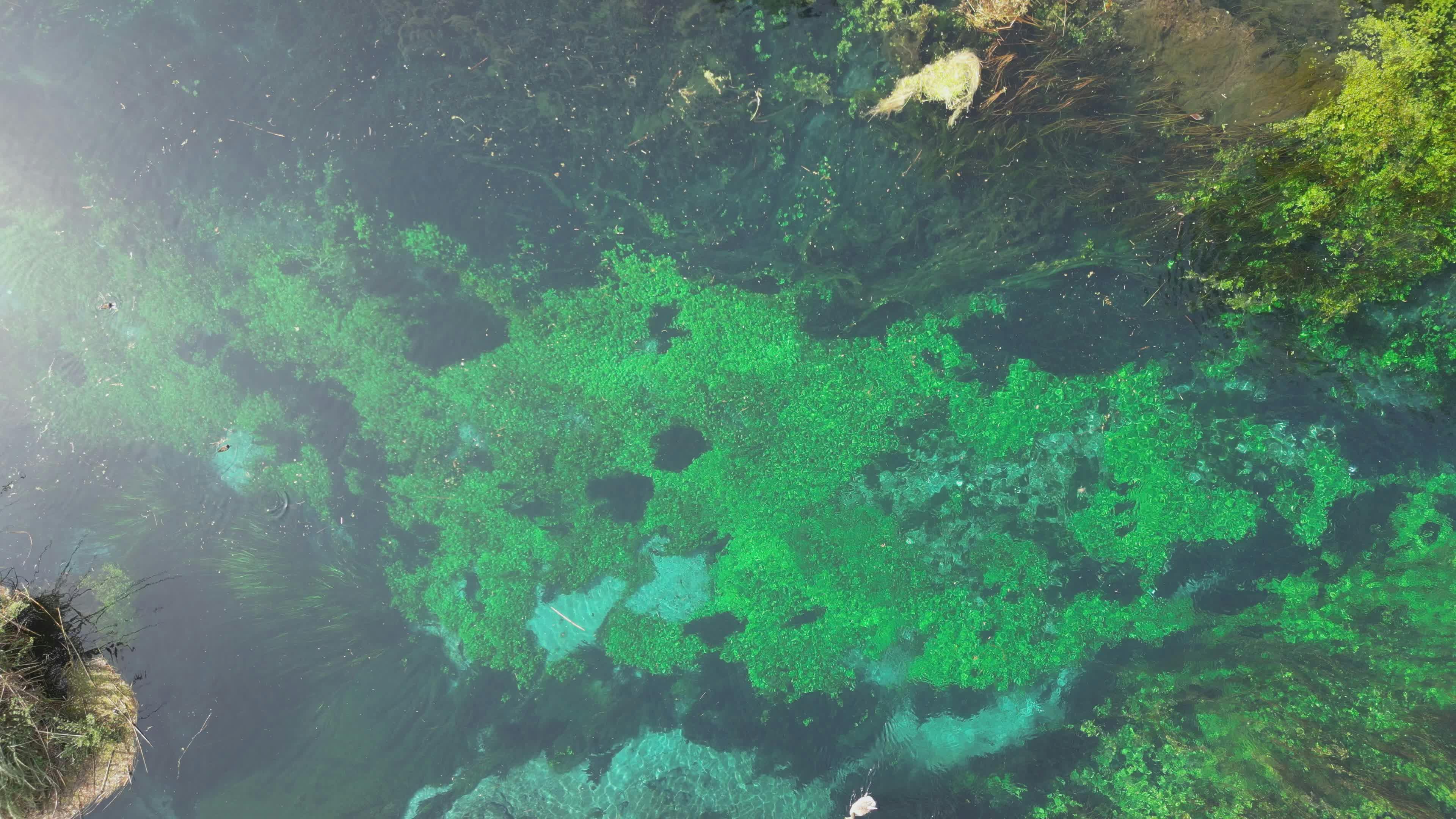 Video by Mahmut Yılmaz