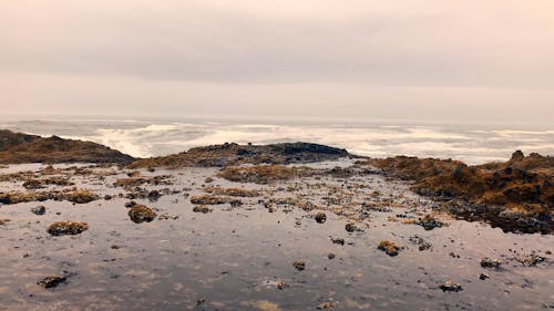 De Fortes Vagues Se Brisant Sur La Côte Rocheuse