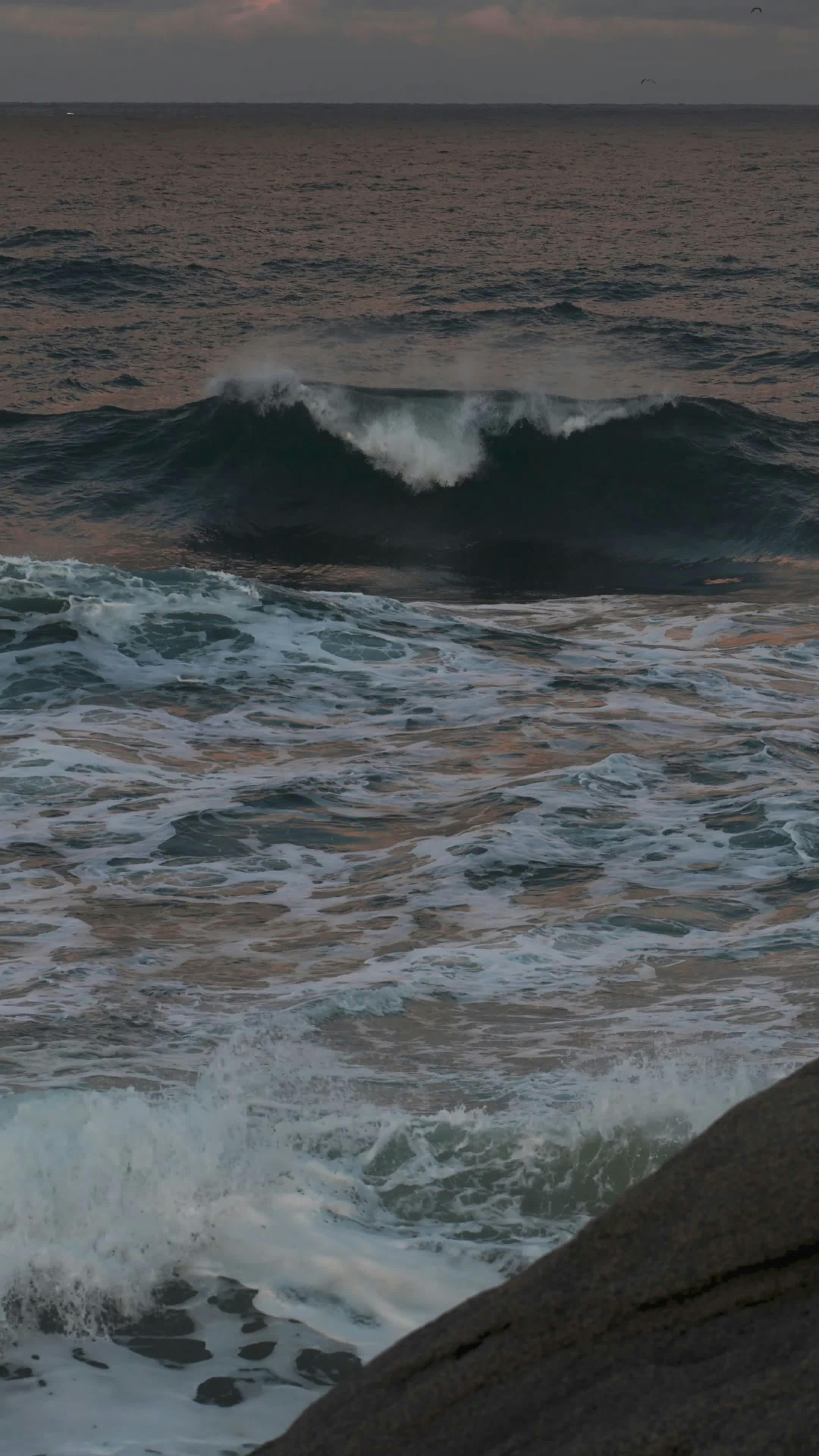 Video by 정규송 Nui MALAMA