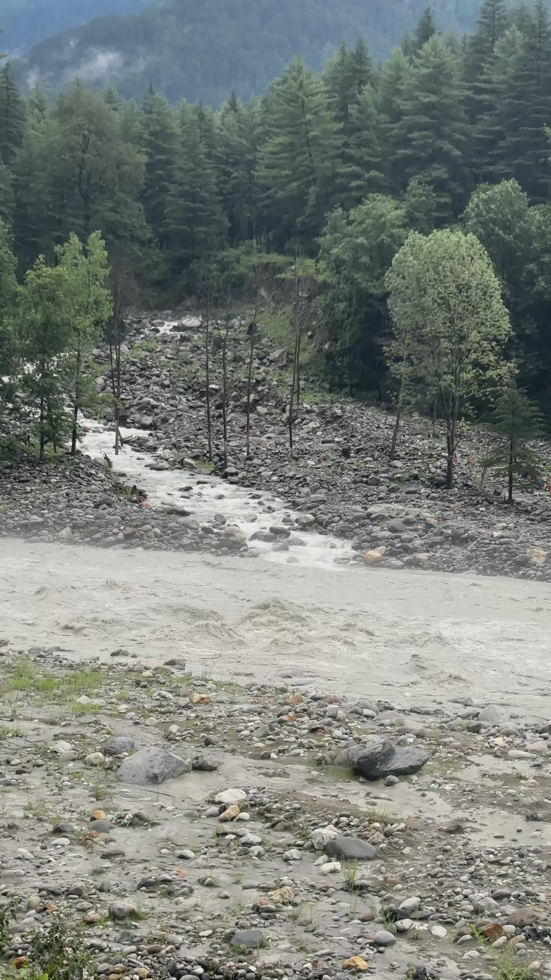Raging River in Forested Landscape During Flood Free Stock Video ...