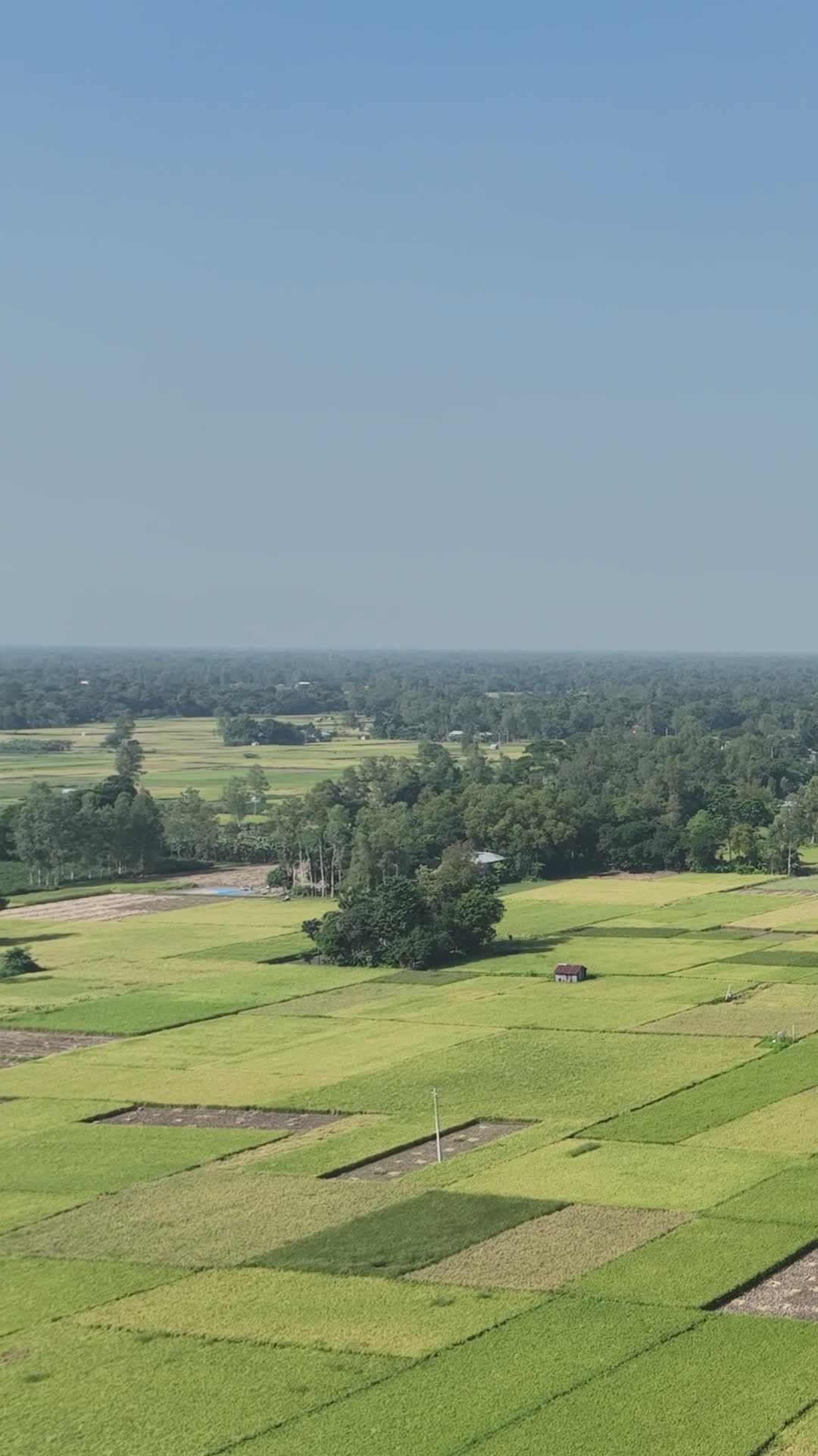 Stunning Aerial View of Lush Bangladeshi Landscape Free Stock Video ...