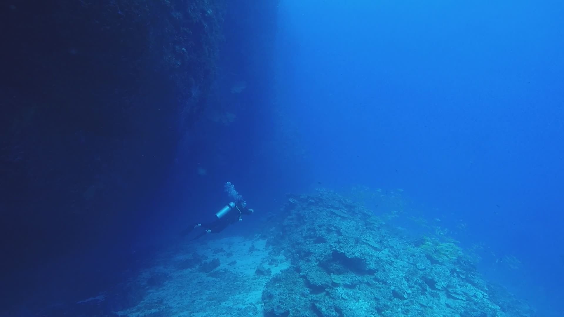 Scuba Diver Exploring Vibrant Coral Reefs Free Stock Video Footage ...