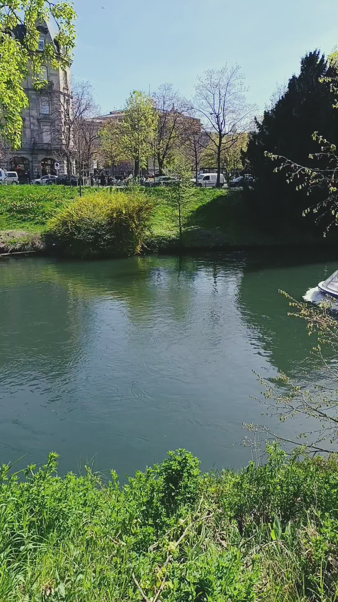 Video by UMA media