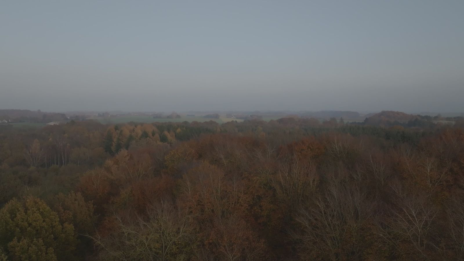 Majestic Aerial View of Autumn Forest Canopy Free Stock Video Footage ...