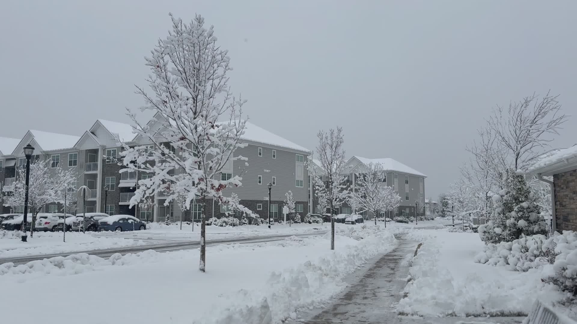 Snowy Winter Day in Suburban Neighborhood Free Stock Video Footage ...