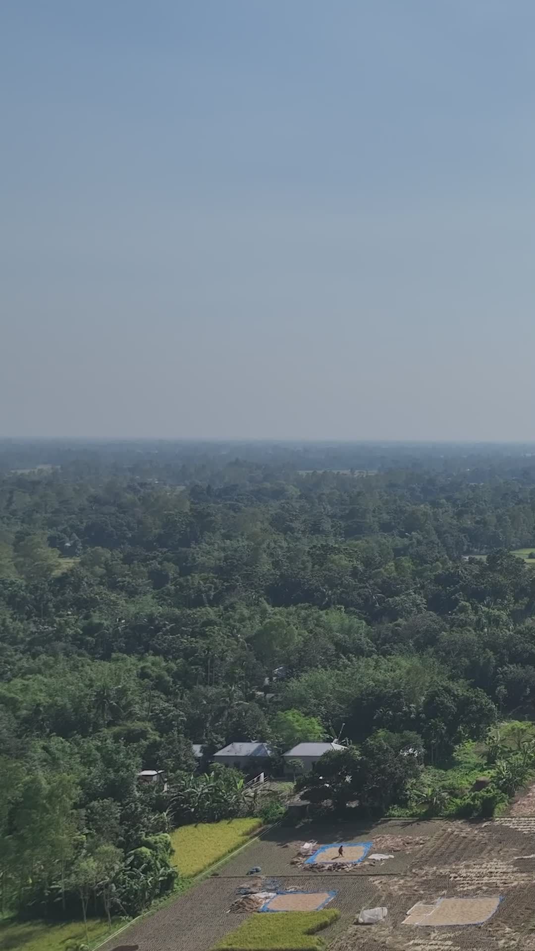 Aerial View of Lush Bangladeshi Landscape in 4K Free Stock Video ...