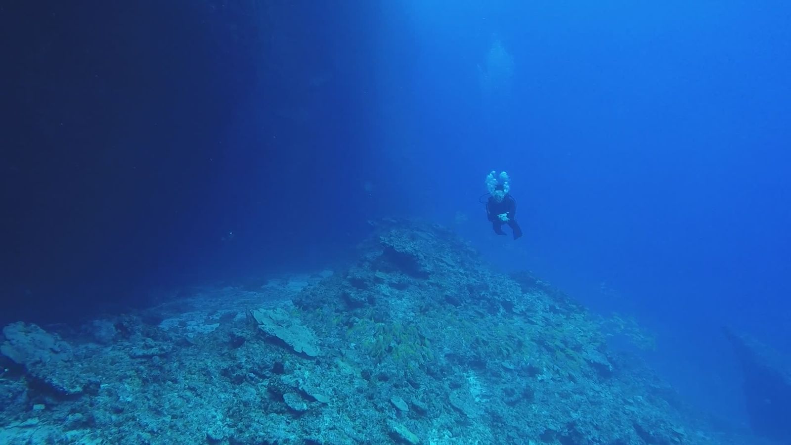Deep Sea Diving Adventure in Blue Waters Free Stock Video Footage ...