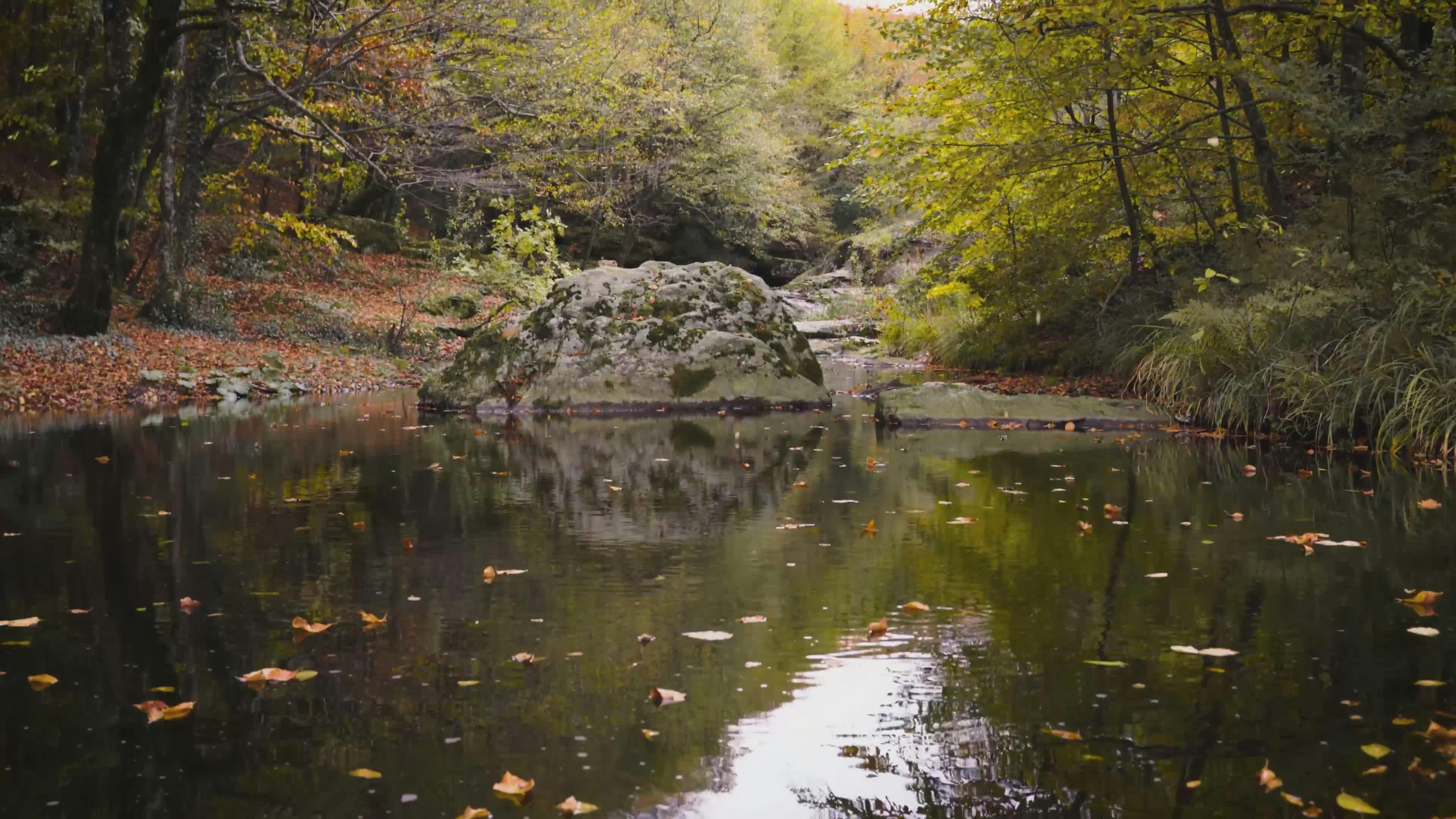 Video by Yasin Onuş