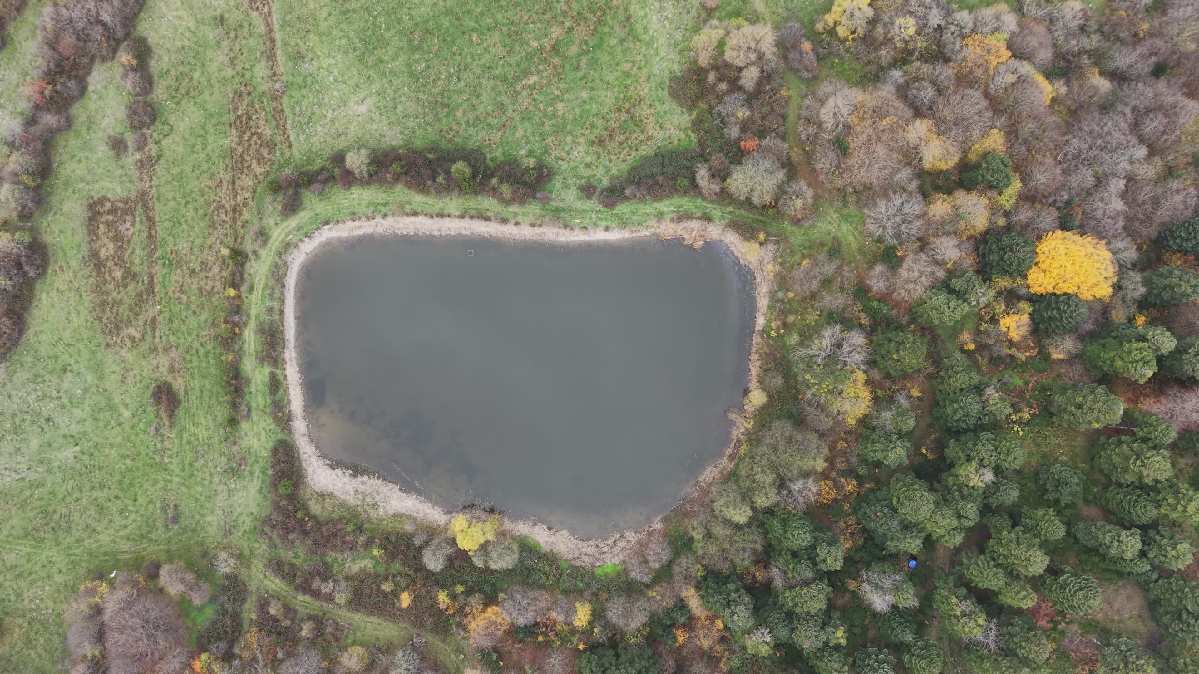 Aerial View of Forest and Lake in Fall Free Stock Video Footage ...