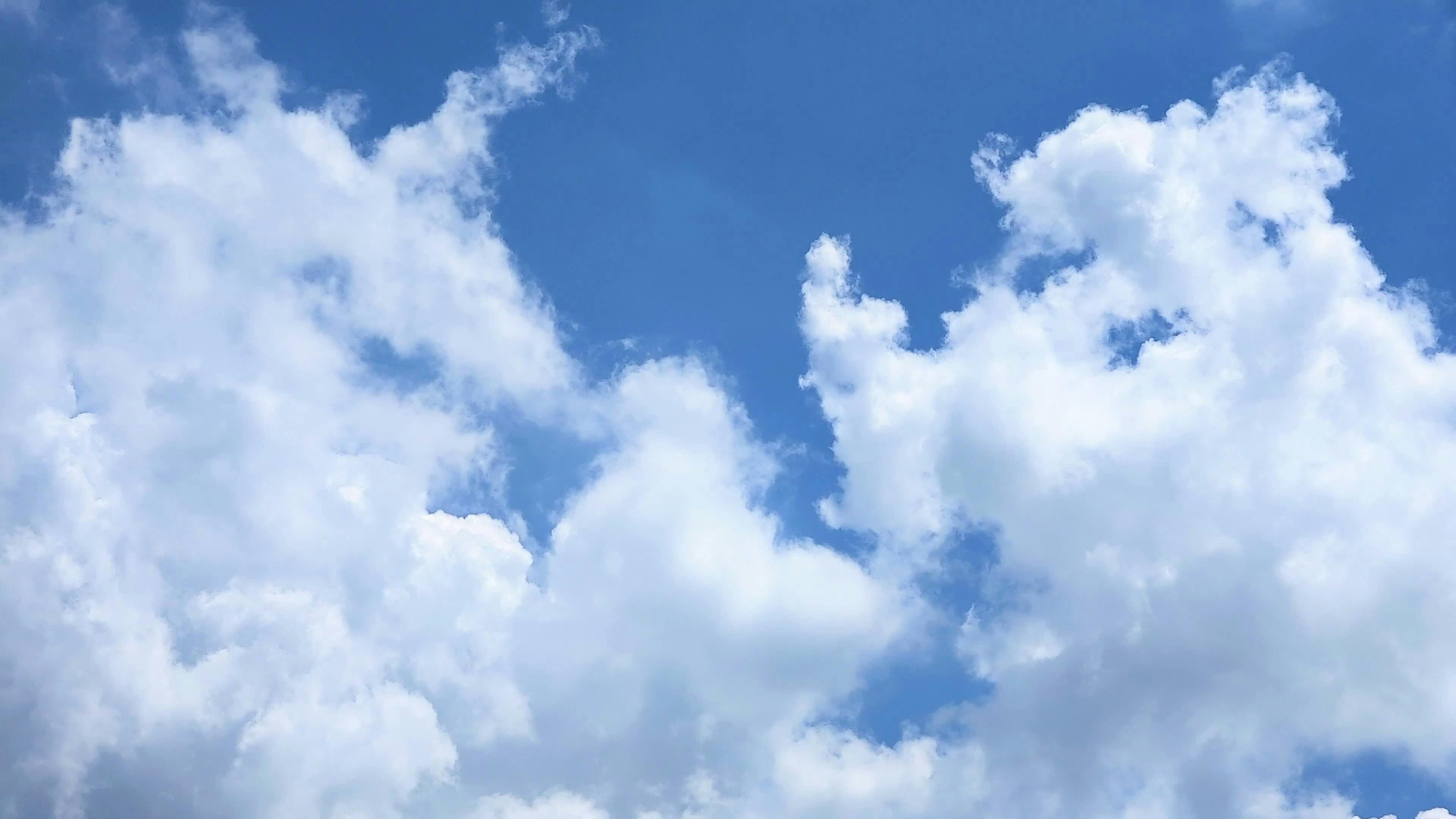 Video by Larkkid Dung