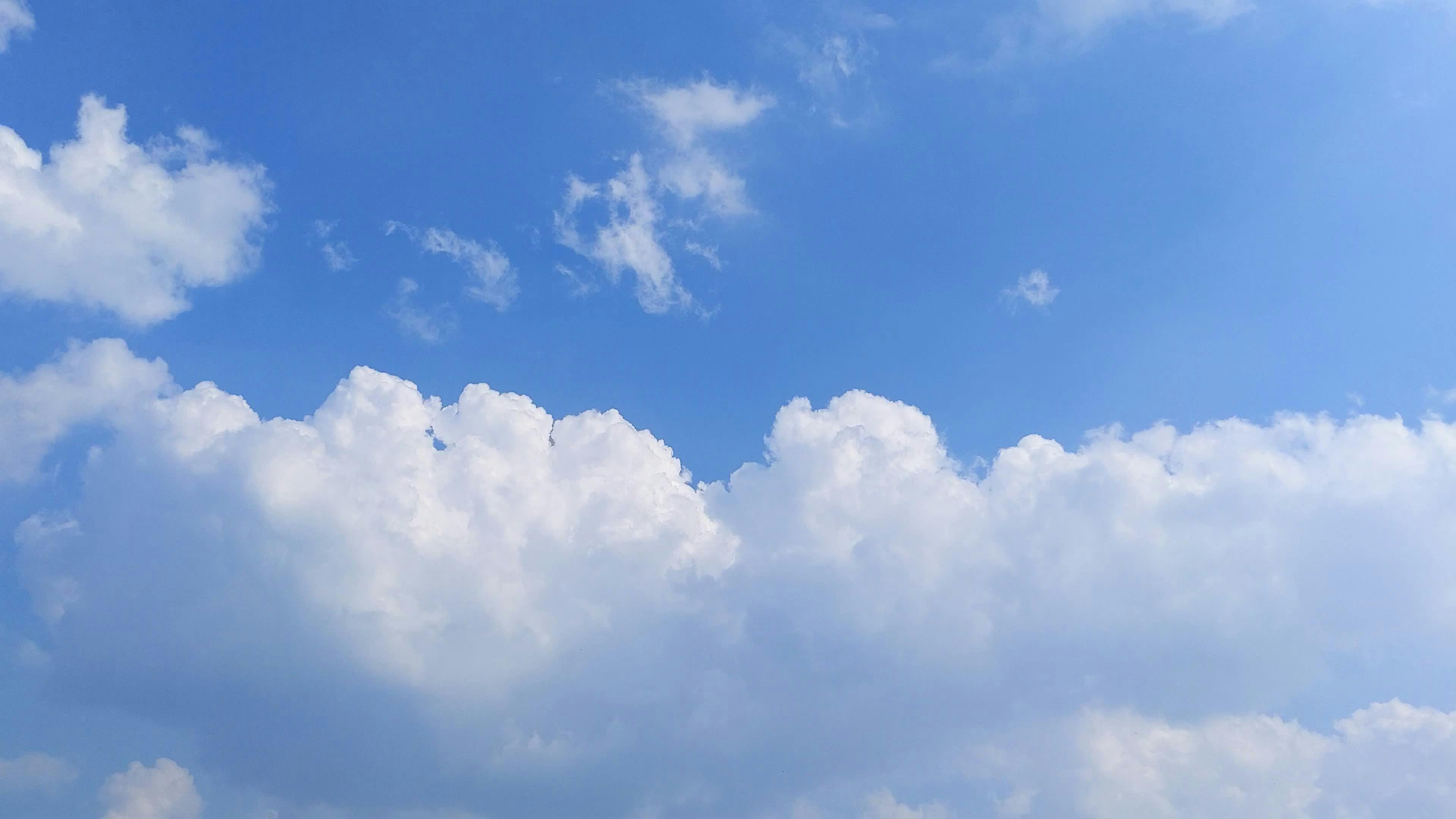 Video by Larkkid Dung