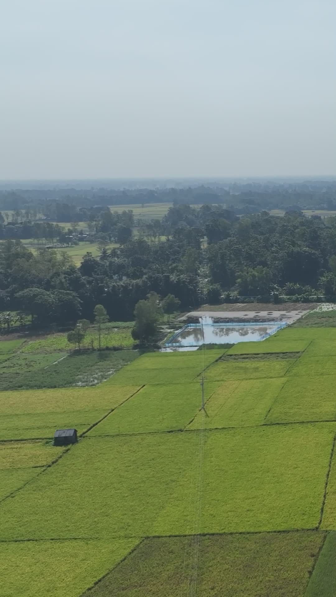 Stunning Aerial View of Bangladeshi Rice Fields Free Stock Video ...