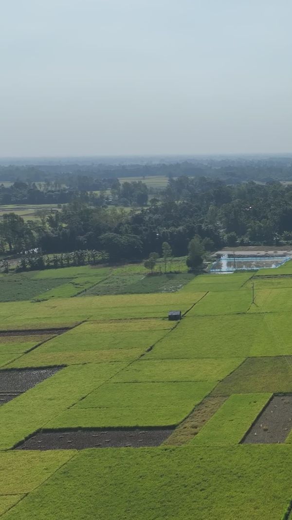 Stunning Aerial View of Bangladeshi Rice Fields Free Stock Video ...