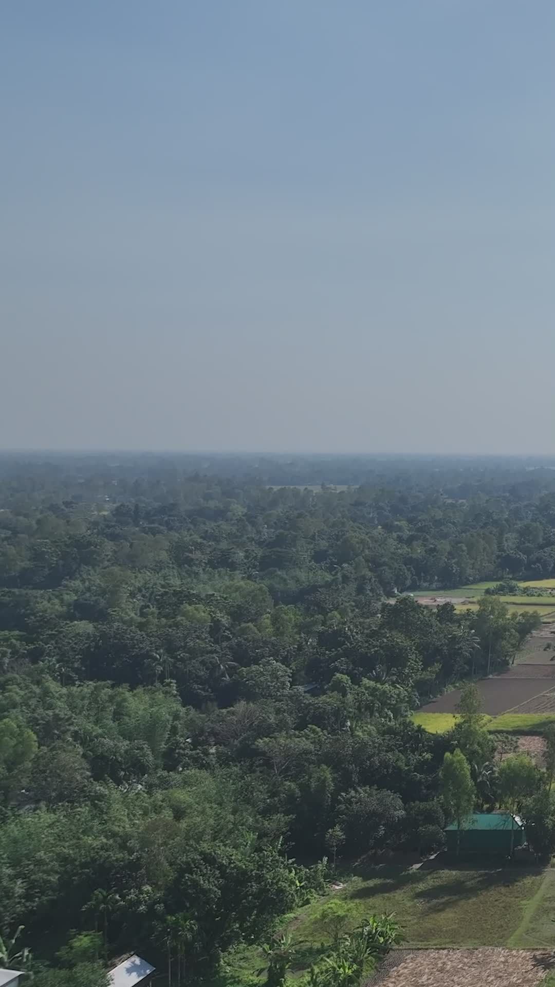 Aerial View of Lush Bangladeshi Landscape in 4K Free Stock Video ...