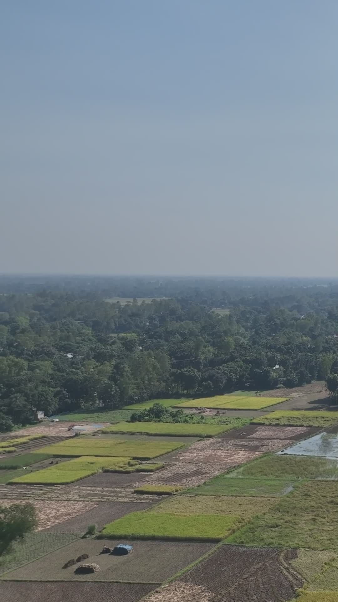 Aerial View of Bangladesh Rice Fields in 4K Free Stock Video Footage ...