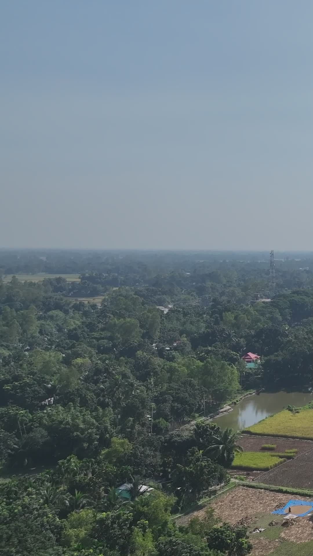 Aerial View of Bangladeshi Lush Green Village Free Stock Video Footage ...
