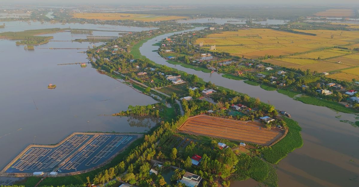 Aerial View of Mekong Delta River Landscape Free Stock Video Footage ...