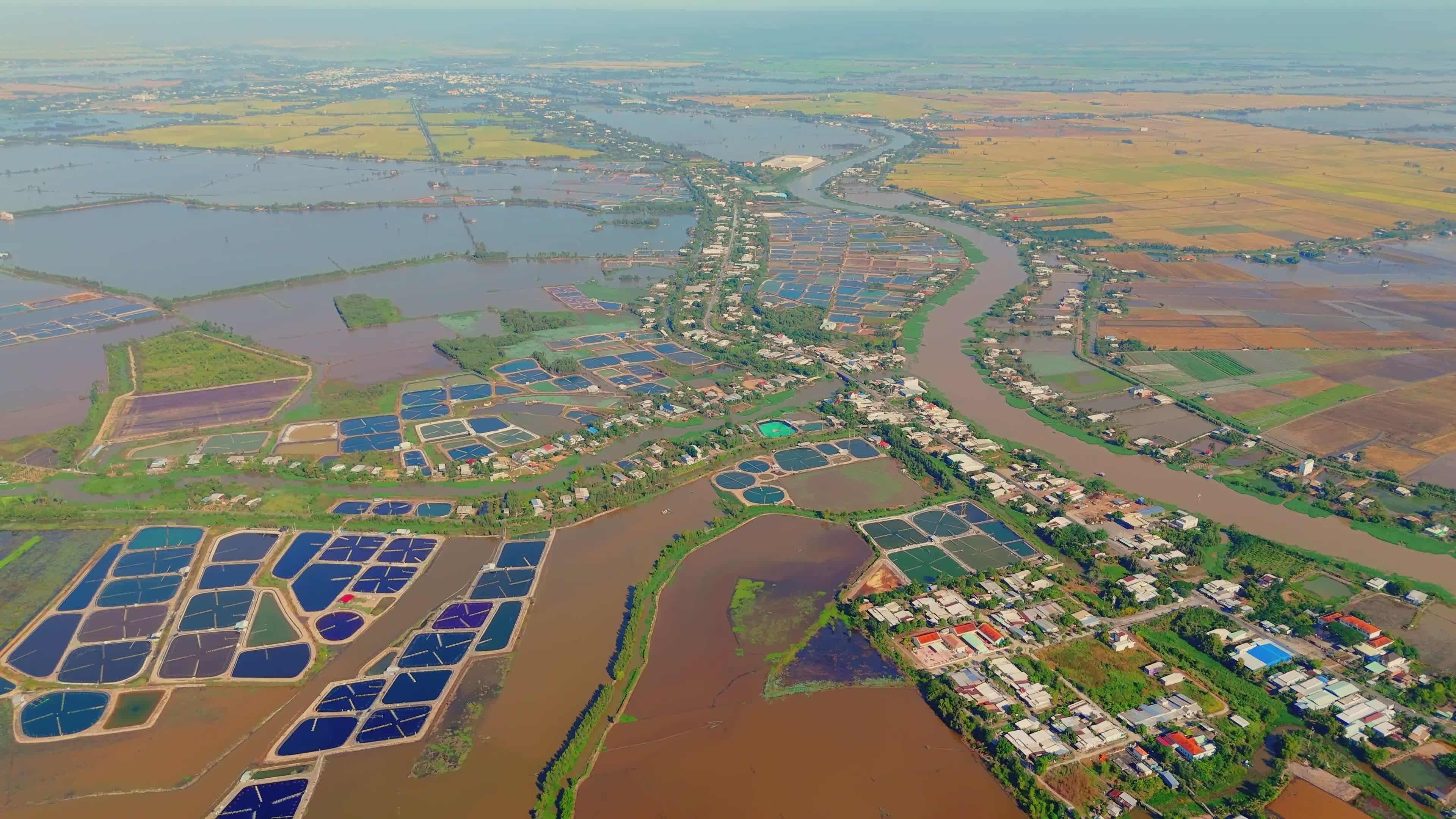 Aerial View of Mekong Delta Rice Fields Free Stock Video Footage ...