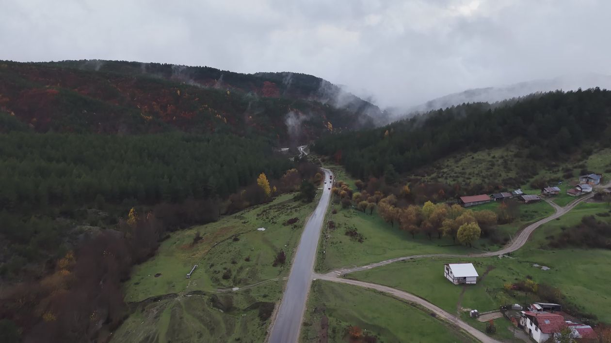 Drone Aerial View of Foggy Autumn Forest Road Free Stock Video Footage ...