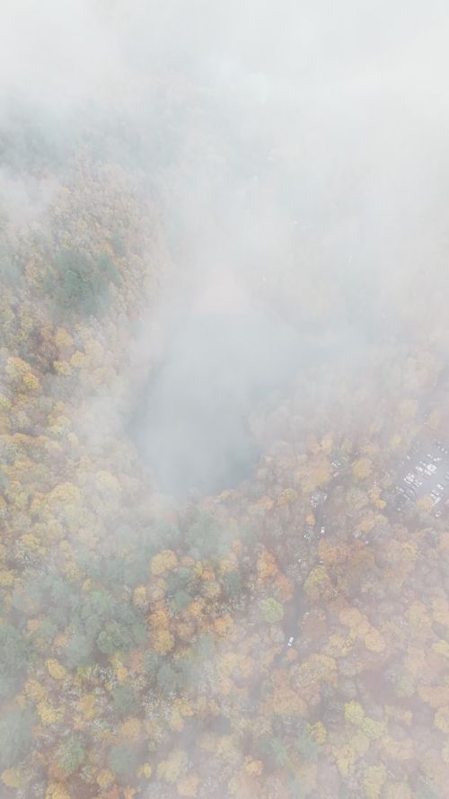 Serene Aerial View of Autumn Lake in Yedigoller Free Stock Video ...