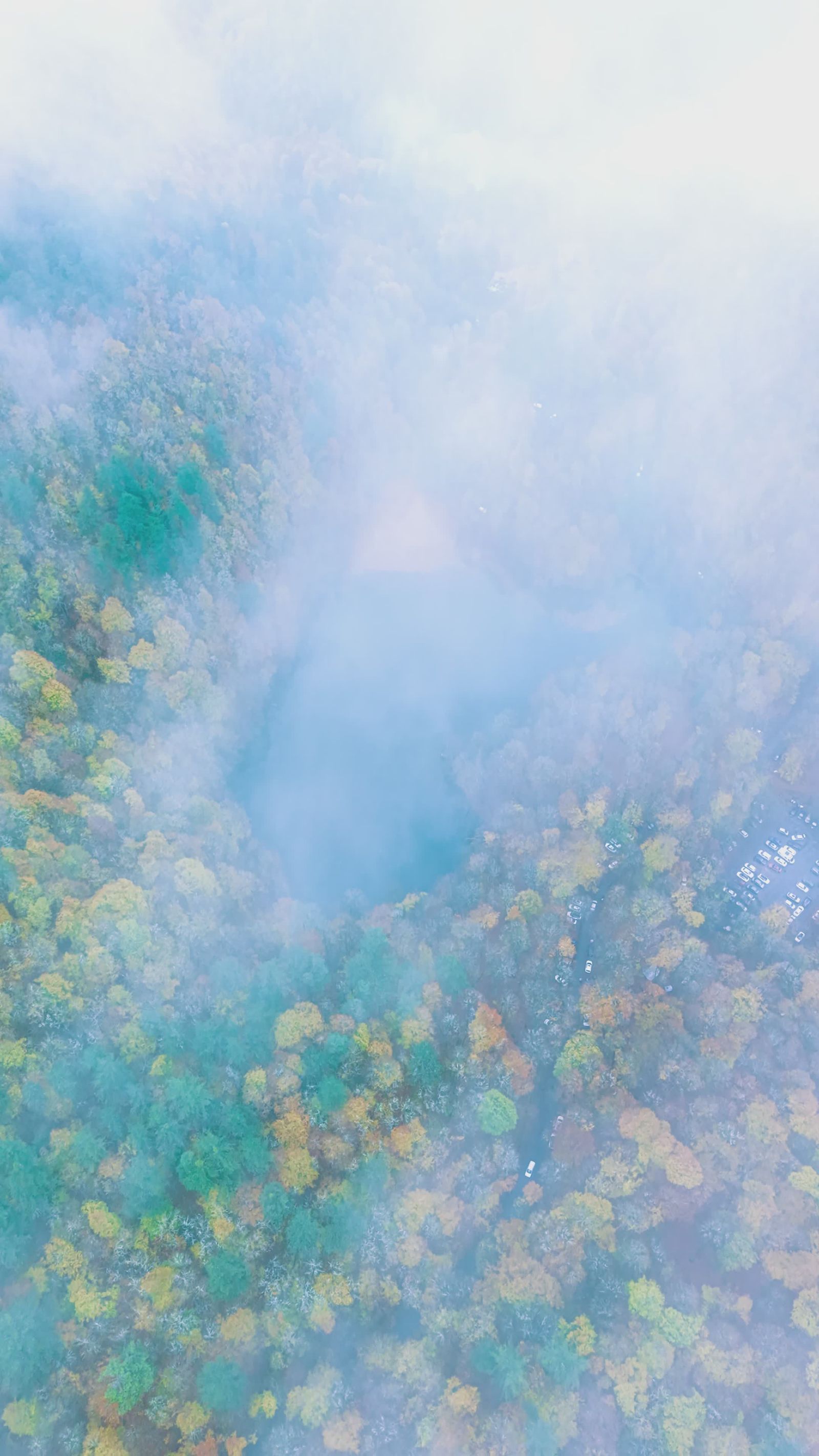 Aerial View of Misty Autumn Forest Free Stock Video Footage, Royalty ...