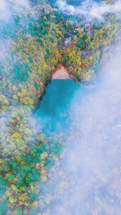 Aerial View of Foggy Fall Forest and Lake Free Stock Video Footage ...