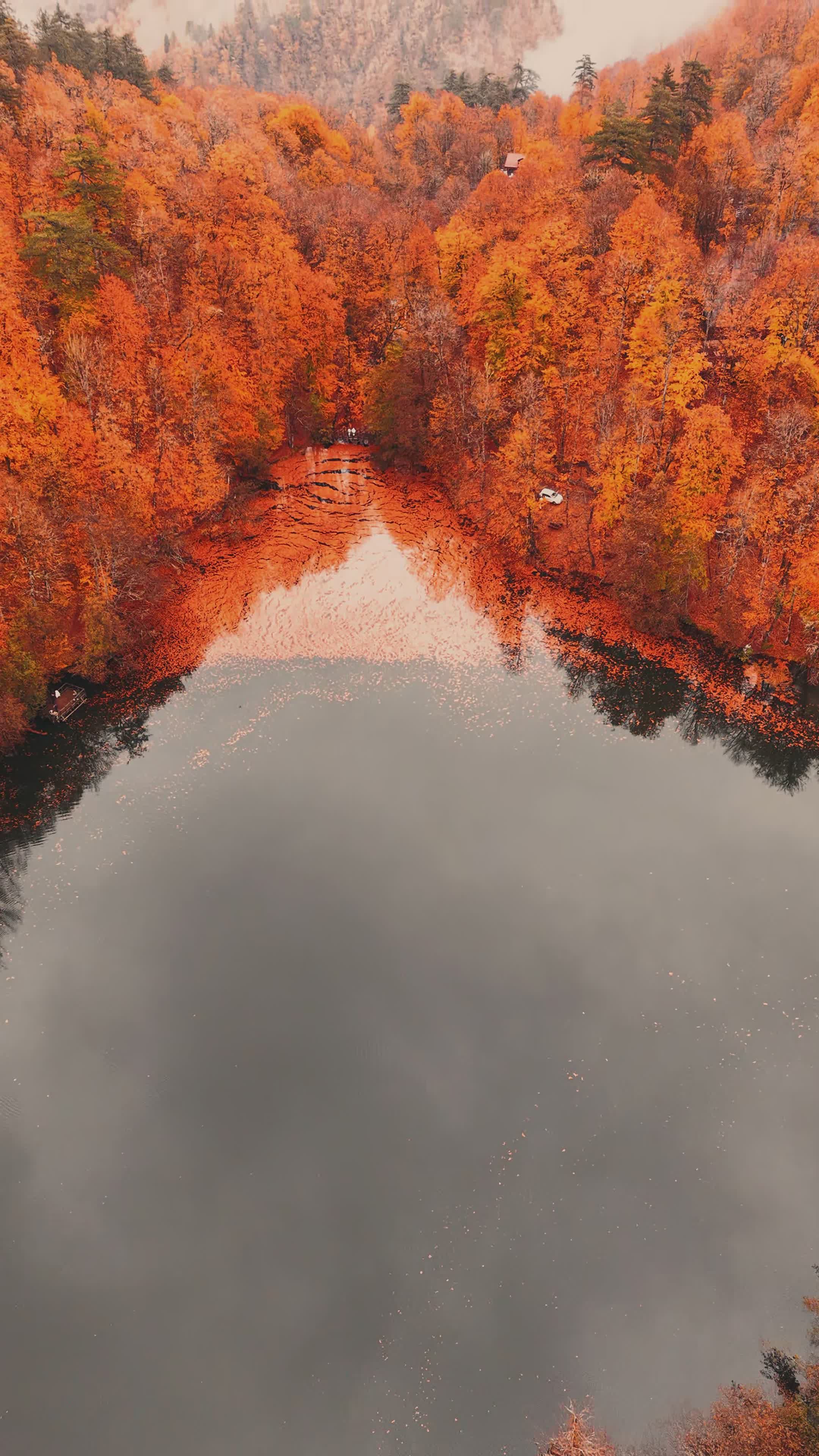 Serene Aerial View of Autumn Lake in Yedigoller Free Stock Video ...