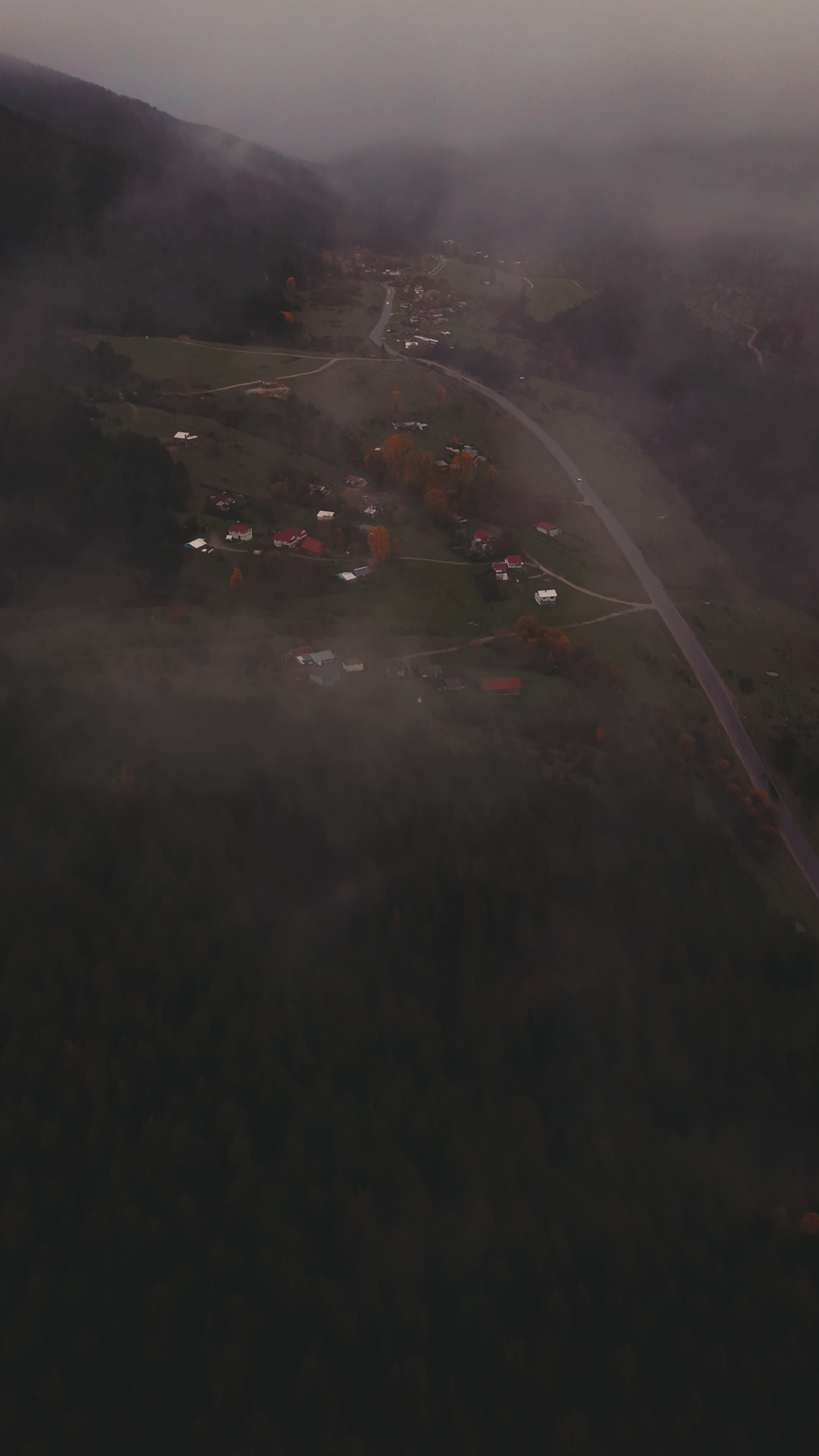 Aerial View of Misty Autumn Forest in Bolu Free Stock Video Footage ...